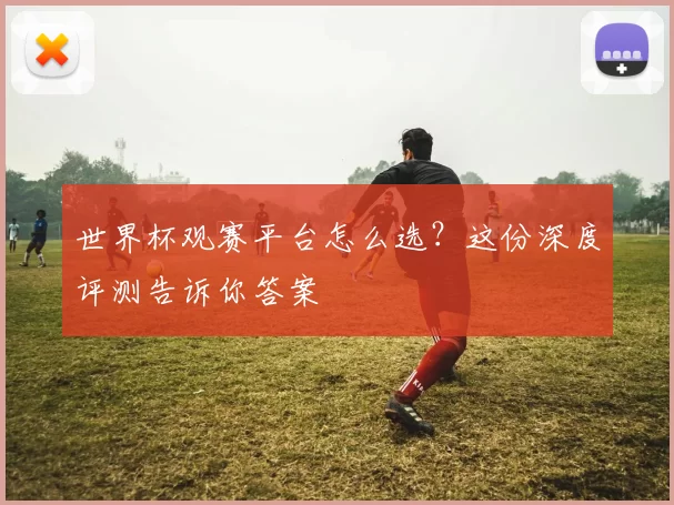 世界杯观赛平台怎么选?这份深度评测告诉你答案