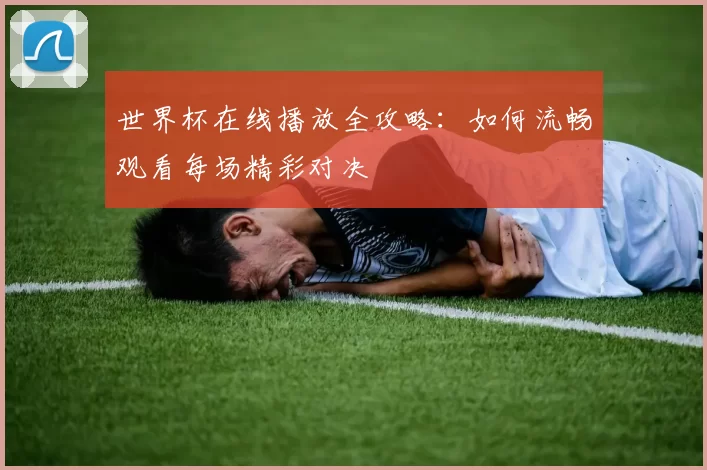 世界杯在线播放全攻略：如何流畅观看每场精彩对决