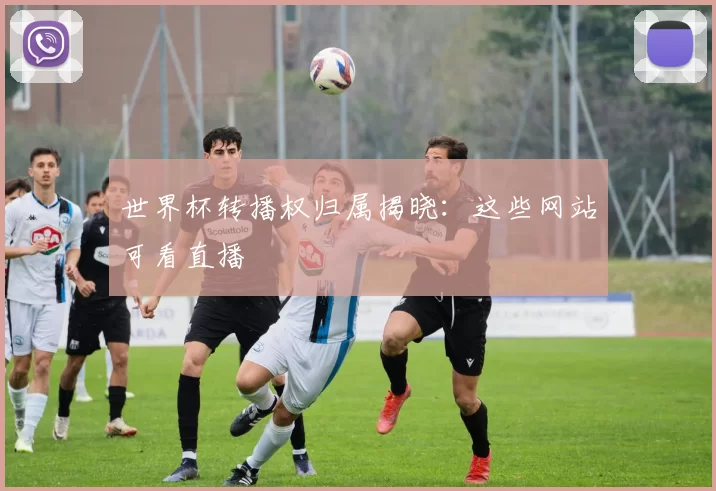 世界杯转播权归属揭晓:这些网站可看直播