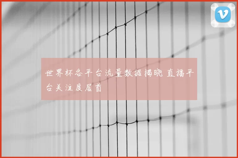 世界杯各平台流量数据揭晓 直播平台关注度居首