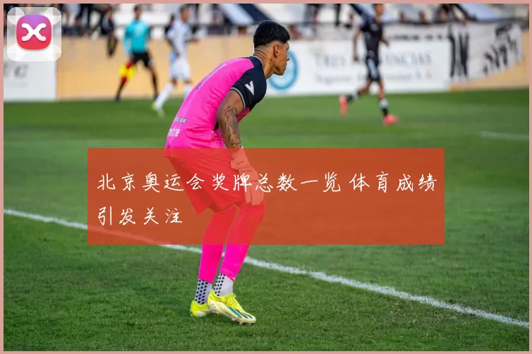 北京奥运会奖牌总数一览 体育成绩引发关注