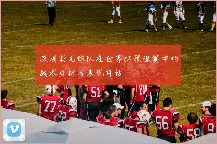 深圳羽毛球队在世界杯预选赛中的战术分析与表现评估