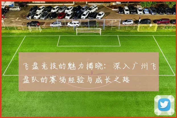 飞盘竞技的魅力揭晓:深入广州飞盘队的赛场经验与成长之路