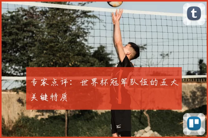 专家点评：世界杯冠军队伍的五大关键特质