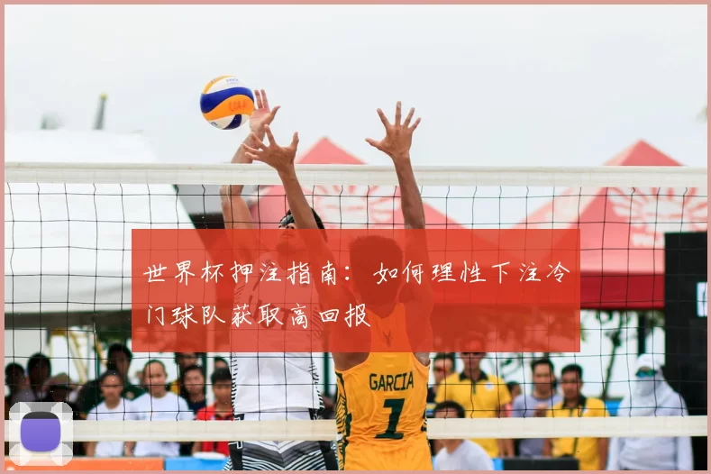 世界杯押注指南:如何理性下注冷门球队获取高回报