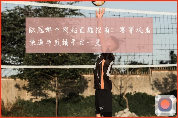欧冠哪个网站直播指南:赛事观看渠道与直播平台一览