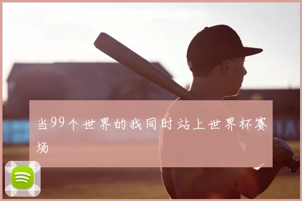 当99个世界的我同时站上世界杯赛场