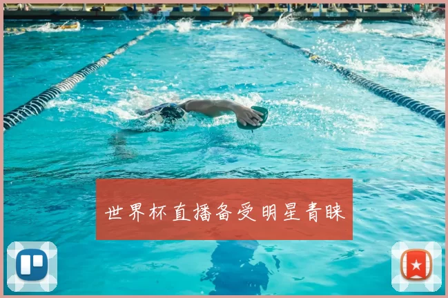 世界杯直播备受明星青睐