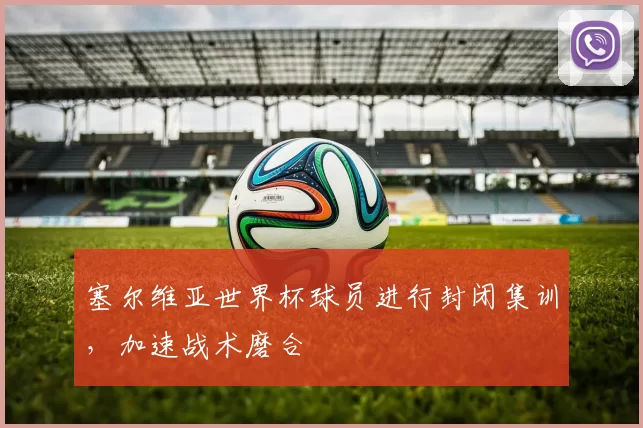 塞尔维亚世界杯球员进行封闭集训,加速战术磨合