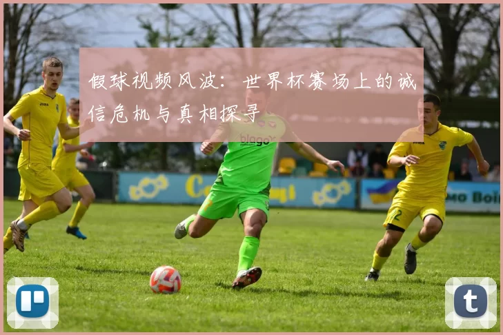 假球视频风波：世界杯赛场上的诚信危机与真相探寻