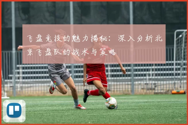 飞盘竞技的魅力揭秘:深入分析北京飞盘队的战术与策略