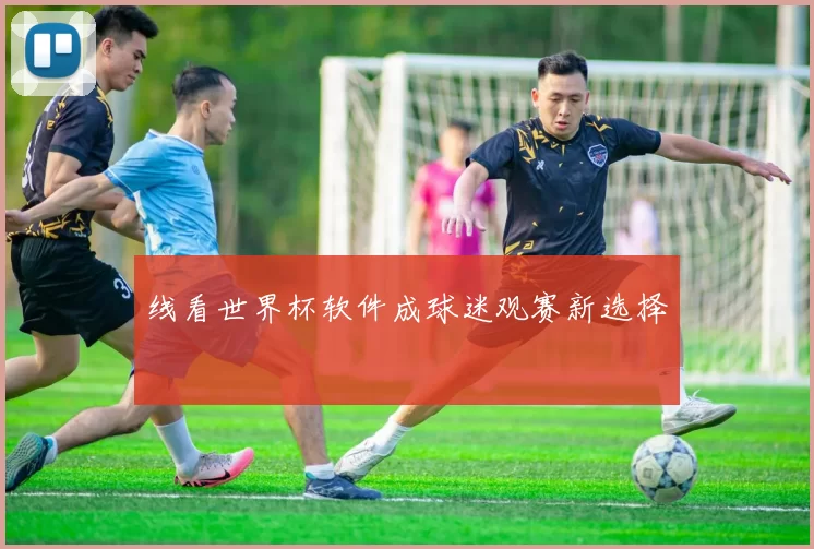 线看世界杯软件成球迷观赛新选择