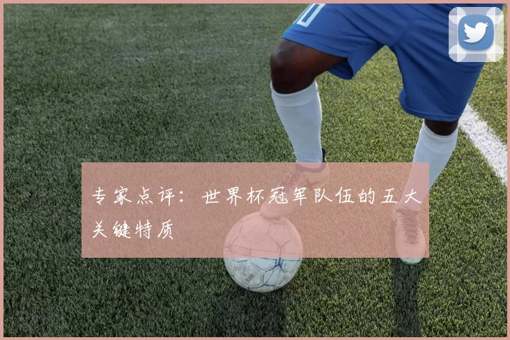专家点评:世界杯冠军队伍的五大关键特质