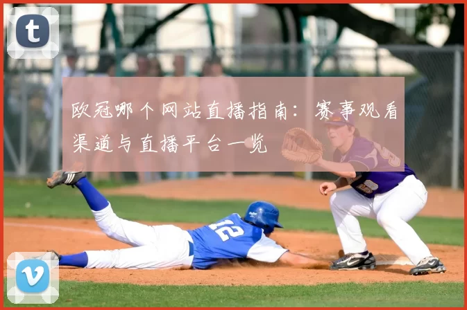 欧冠哪个网站直播指南:赛事观看渠道与直播平台一览